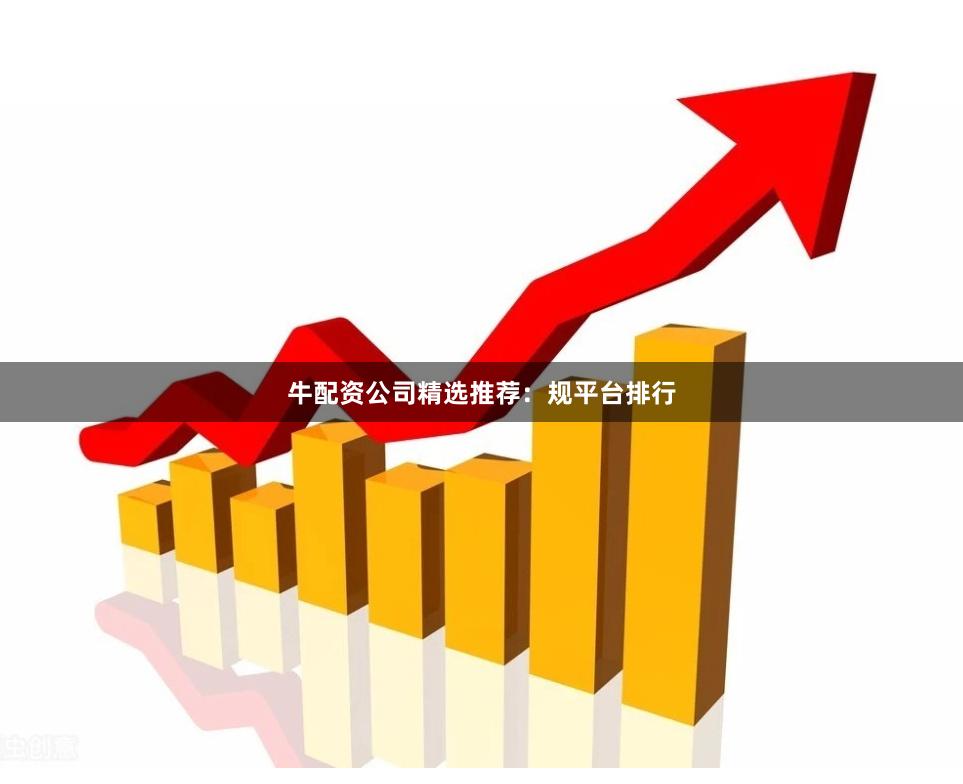 牛配资公司精选推荐：规平台排行